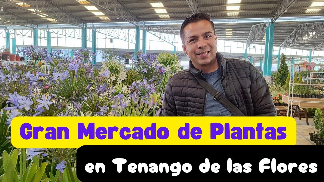 Gran Mercado de Plantas en Tenango de Las Flores, Puebla.