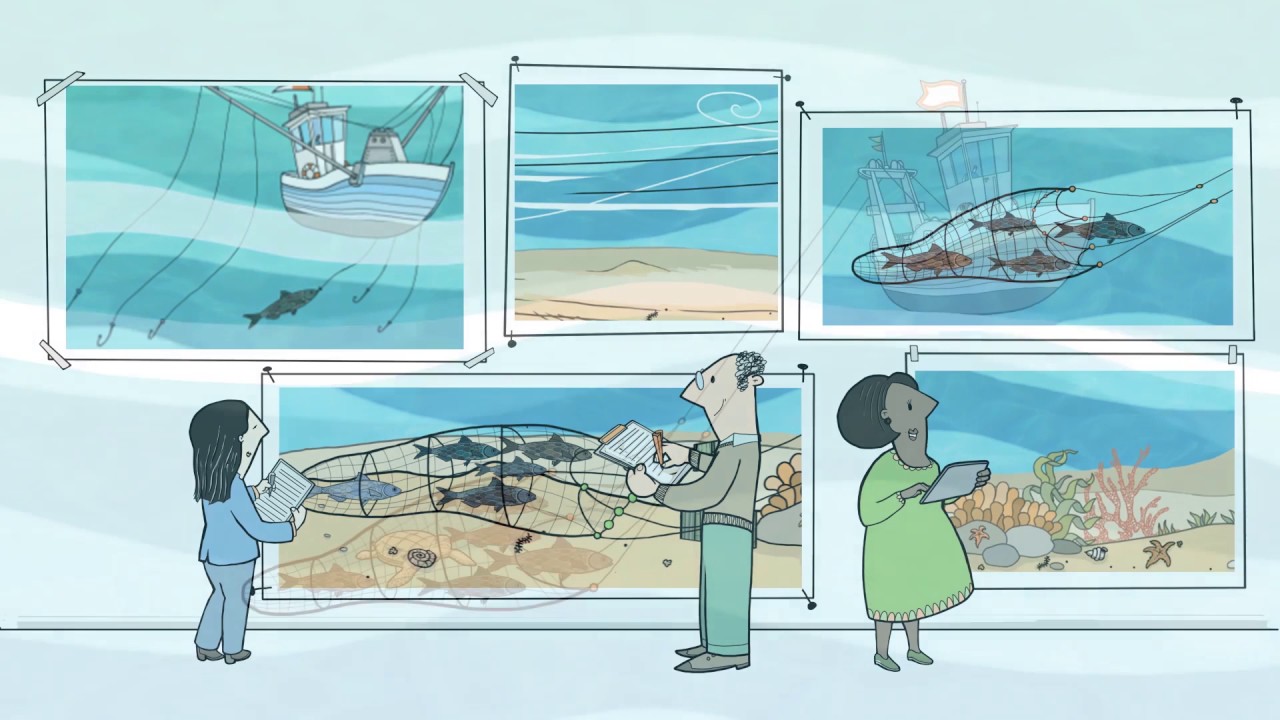 What does the MSC label mean? | 2. Marine habitats and species protected