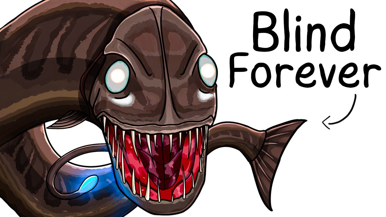Why it Sucks To Be Born As a Dragonfish