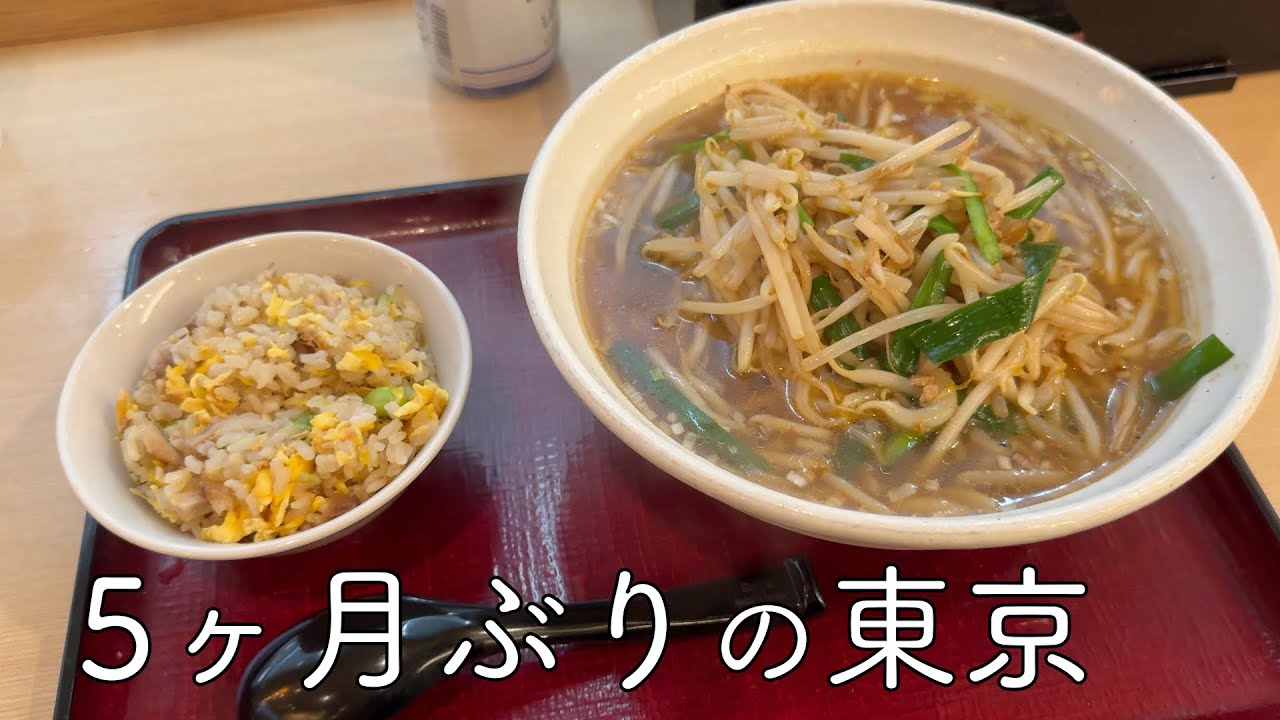 【2回目の一時帰国 vlog #1】5ヶ月ぶりの東京 / Temporary return to Tokyo
