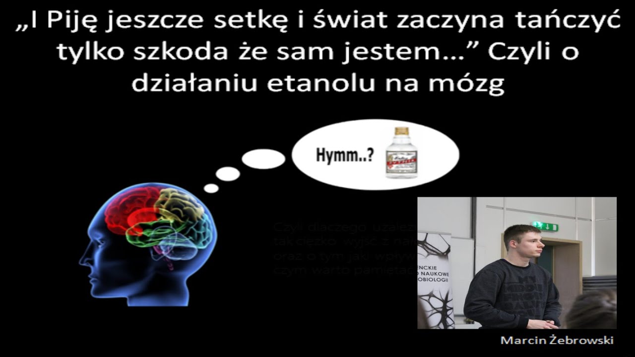 Marcin Żebrowski -  Czyli o działaniu alkoholu na mózg.