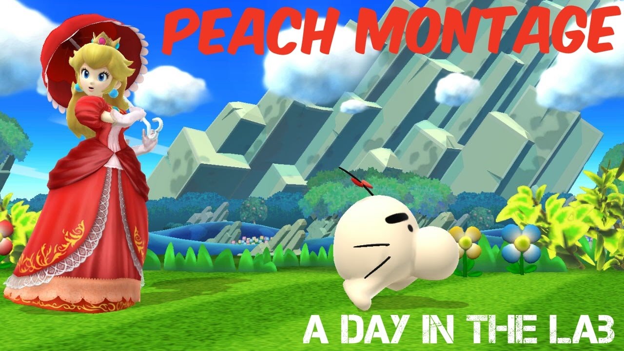 【SSB4】 GS Blank - Peach Montage