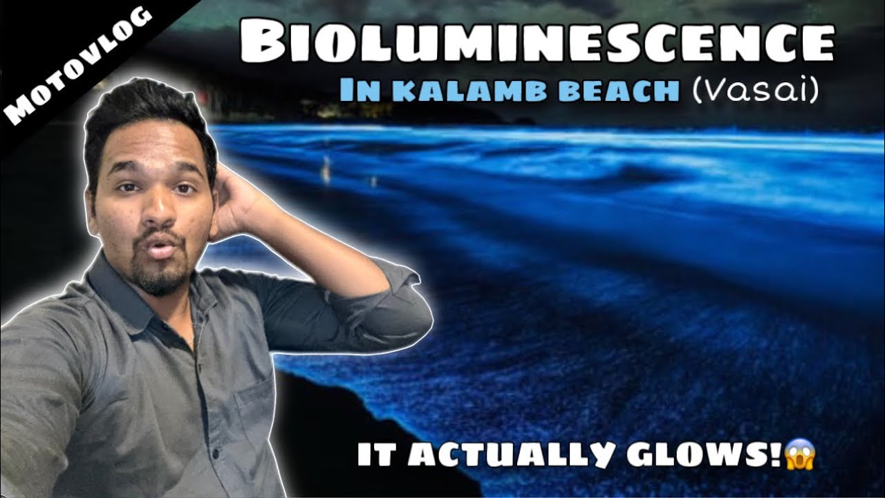 BIOLUMINESCENCE IN KALAMB BEACH NOW 😍| it&rsquo;s actually glows 😱| Virar, Vasai is heaven￼👀#bestbeaches 