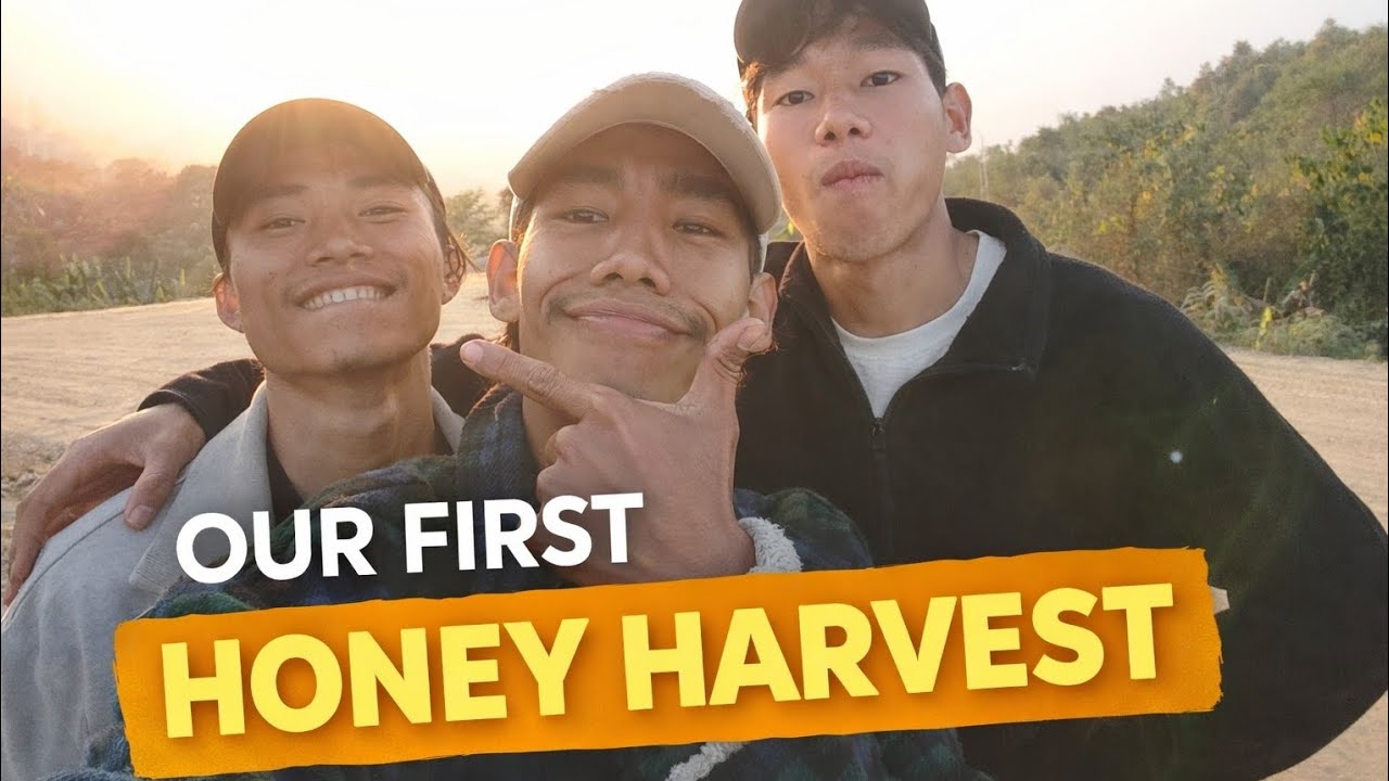 Our First Honey Harvest 🐝🍯