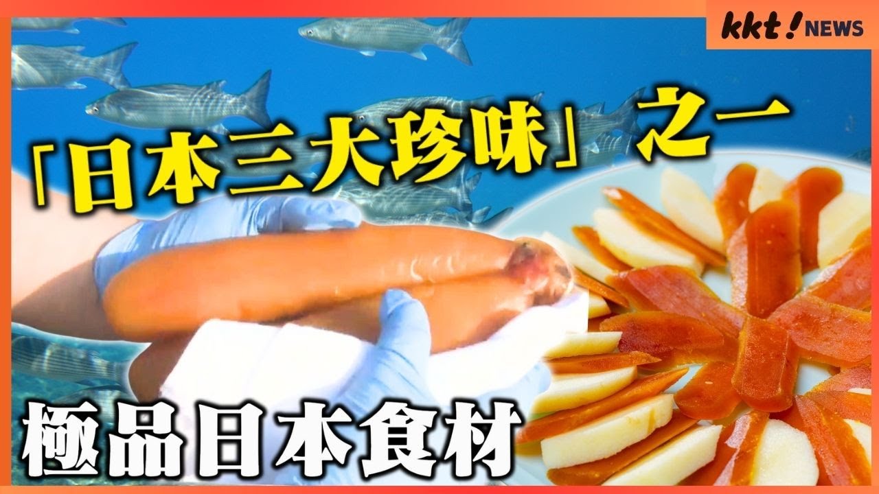 【日本三大珍味】天草的烏魚子製作進入最盛期 「稍微烤過搭配熱騰騰的白飯，做成日式茶泡飯也很美味」｜KKT NEWS @KKTNEWS.TAIWAN