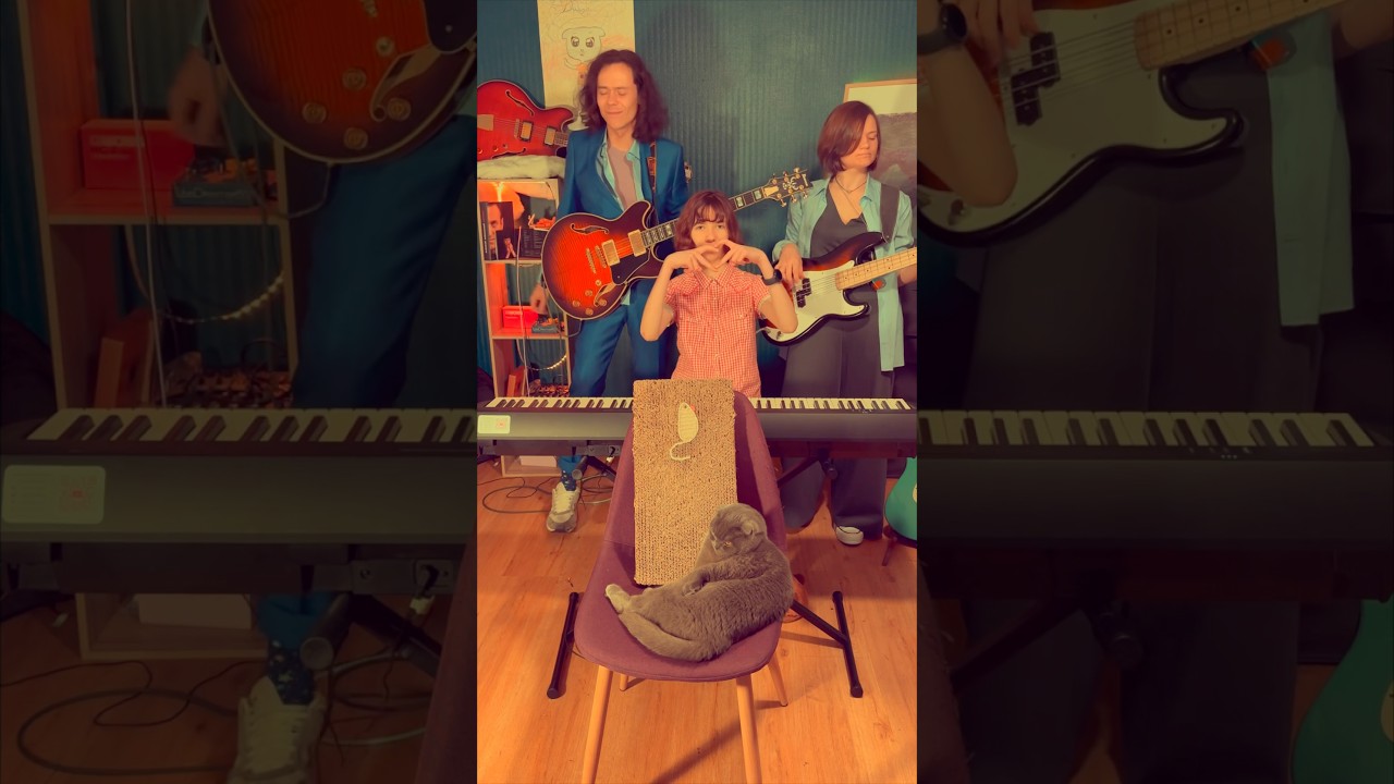 Rainy Rock-RockGroove #musicfamily #piano #bassgirl #guitar #newmusic #cat