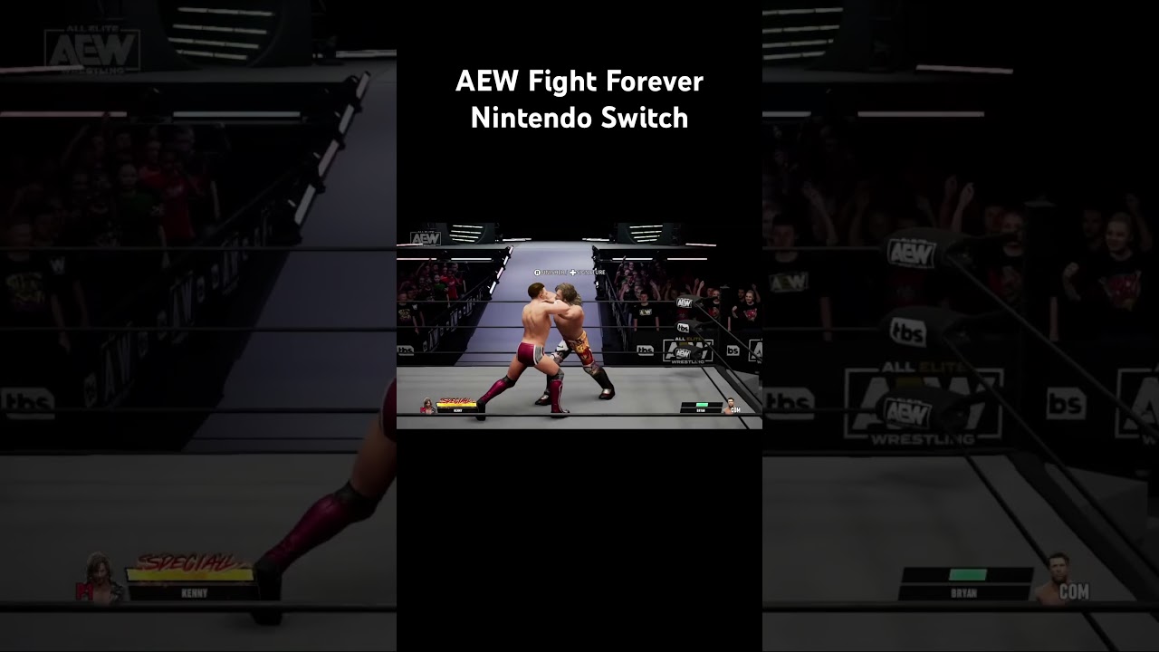 AEW Fight Forever Nintendo Switch