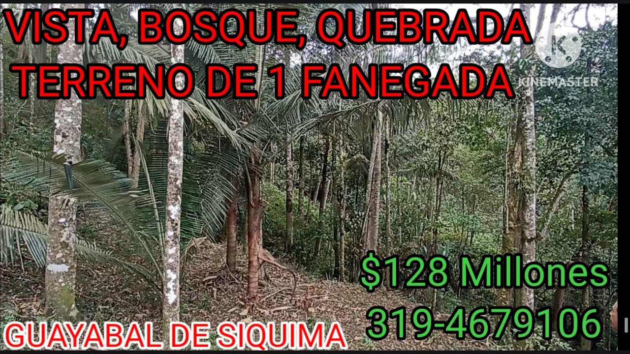 🧿BAJO DE PRECIO $115 Millones.. (FINCA POTENCIAL ECOLÓGICA 1 FANEGADA GUAYABAL) 3194679106