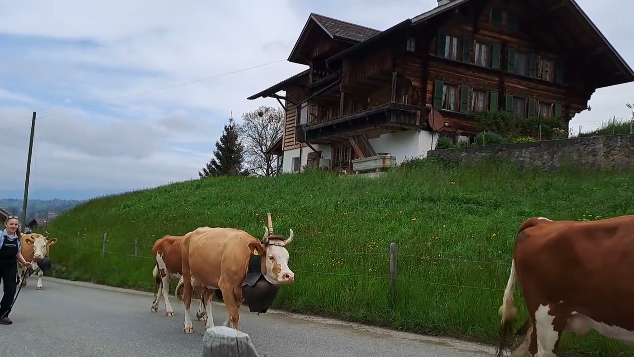 Züglete Scharnachtal 20.05.2023