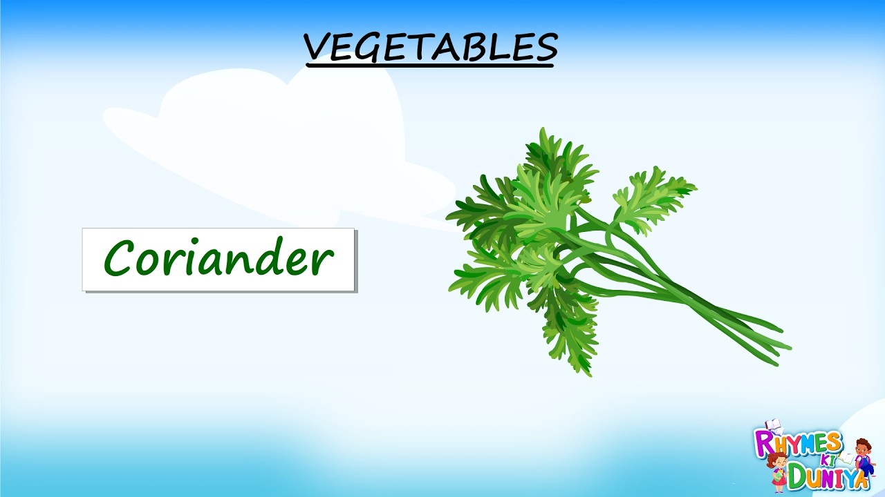 Vegetable Names Made Easy: Fun Learning for Kids! Let's Get Veggie! Fun Names for Little Learners!
