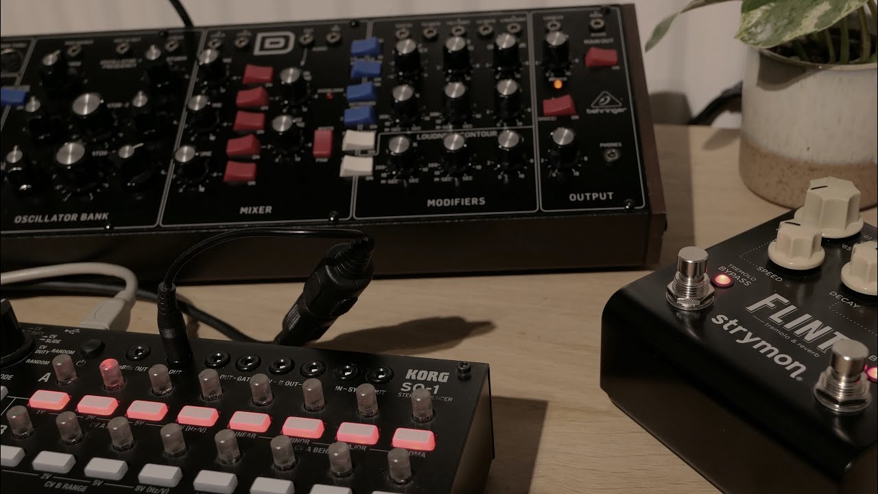 Model D and SQ1 ~ a solid combo
