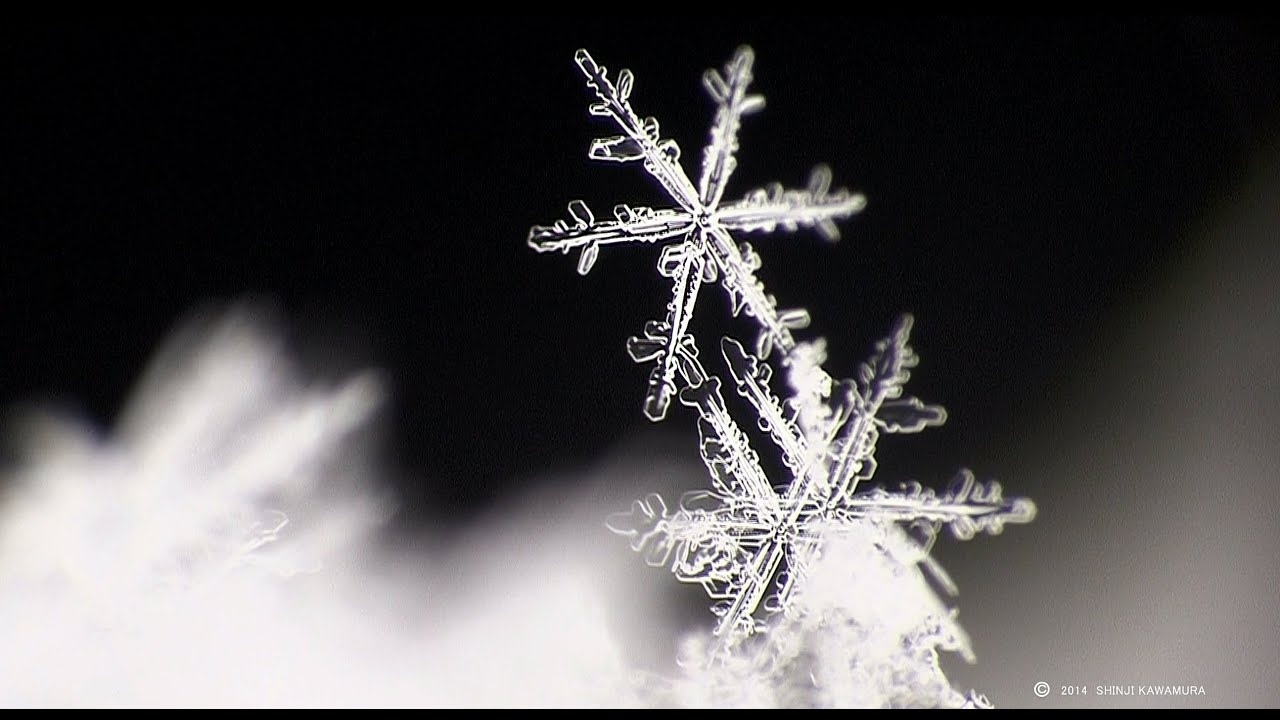 【北海道の絶景】繊細で美しい雪の結晶　Snowflake delicate and beautiful