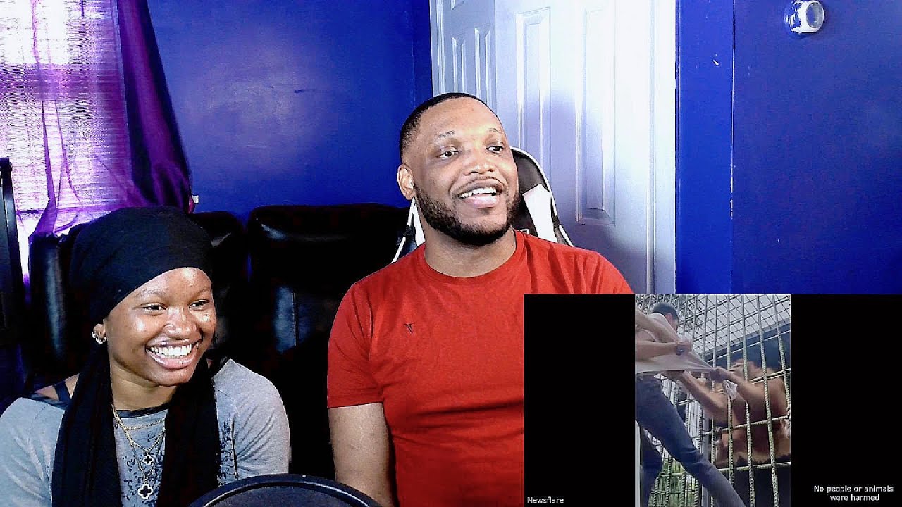 Nigerians react to Craziest Animal Encounters of All Time !!!