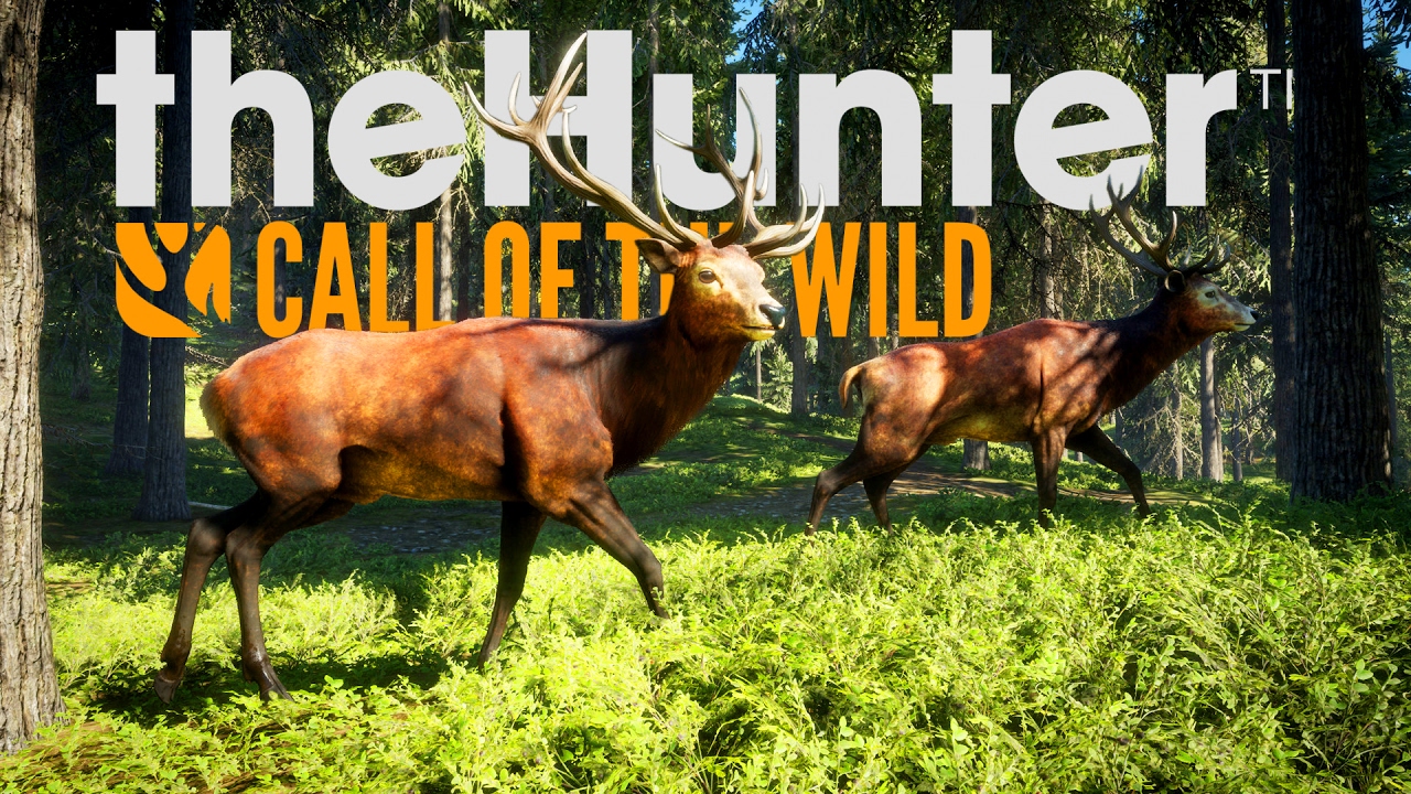 PODĄŻAM ŚLADEM NIEDŹWIEDZIA! | theHunter: Call of the Wild #2 [PL]