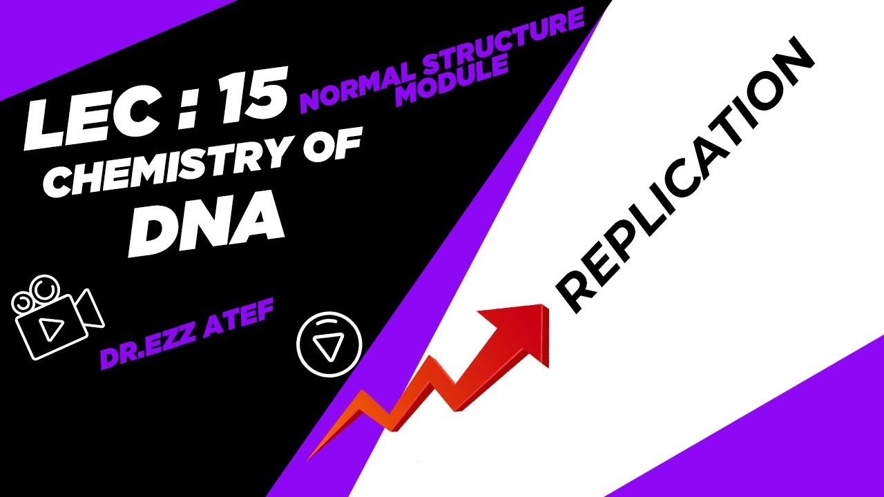 Biochemistry - 1st year - (15) Replication