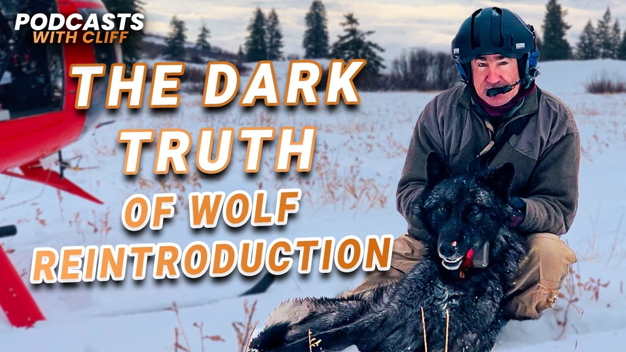 207 Conflict Wolves Later - The Dark Truth of Reintroduction with Greg Jones