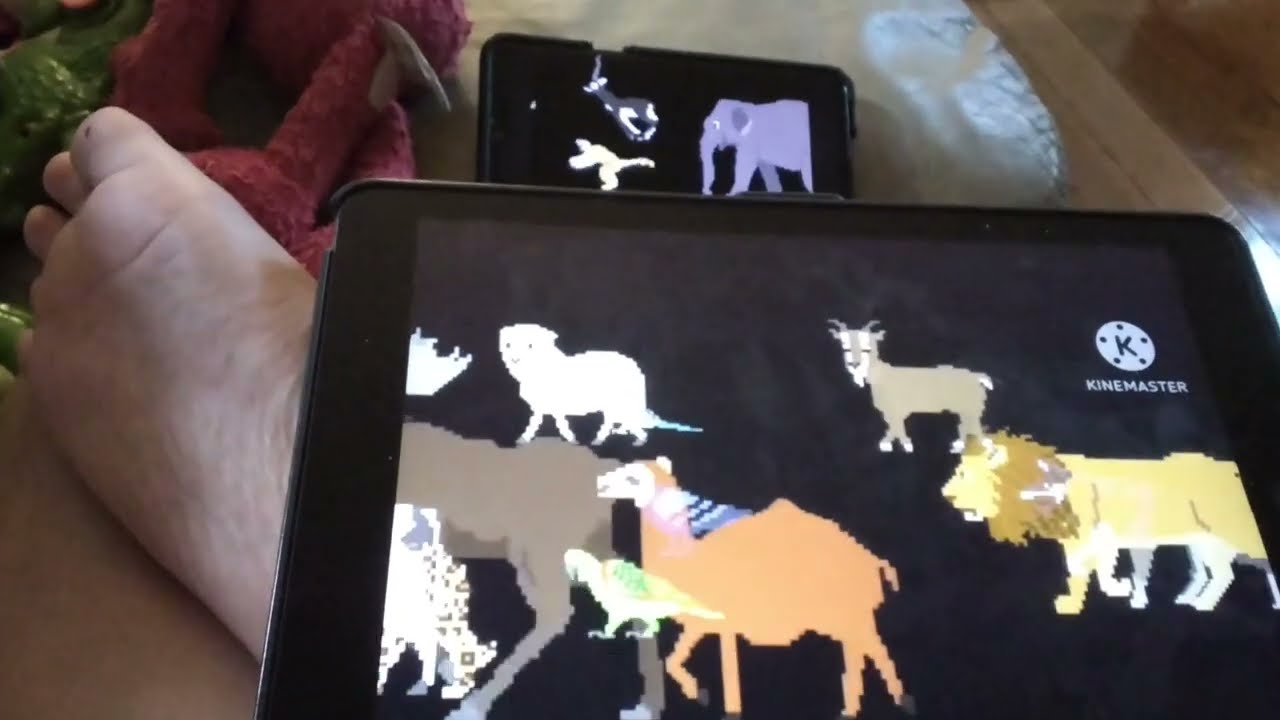 All wild animal the kids picture show