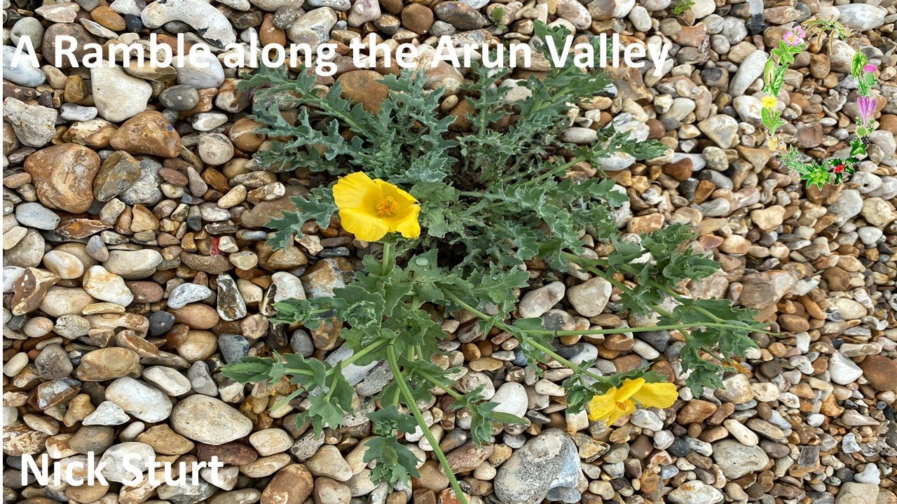 A Ramble along the Arun Valley