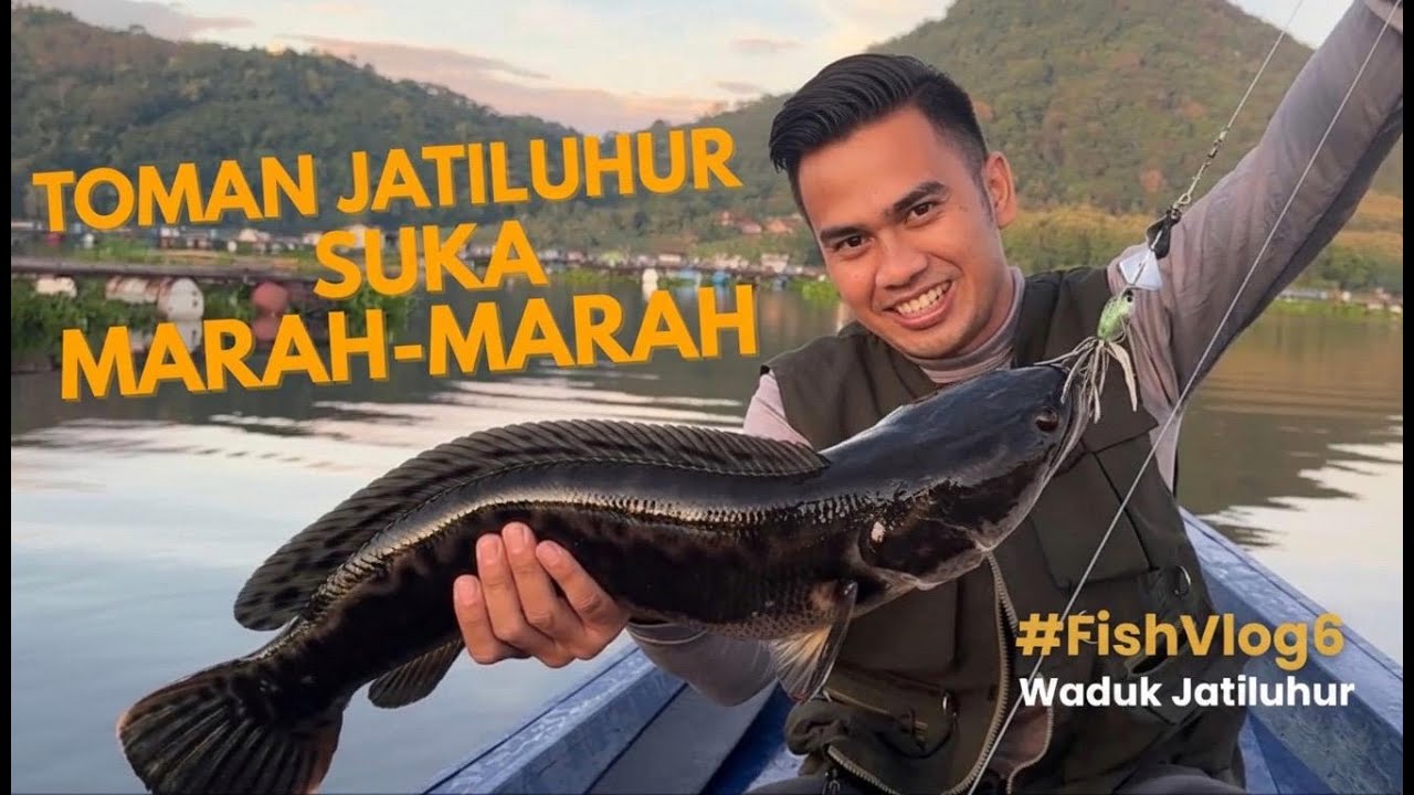 #6 TOMAN JATILUHUR LAGI EMOSIAN ‼️ TRIP TUTUP TAHUN YANG INDAH SETELAH PERBONCOSAN DUNIAWI 🤣