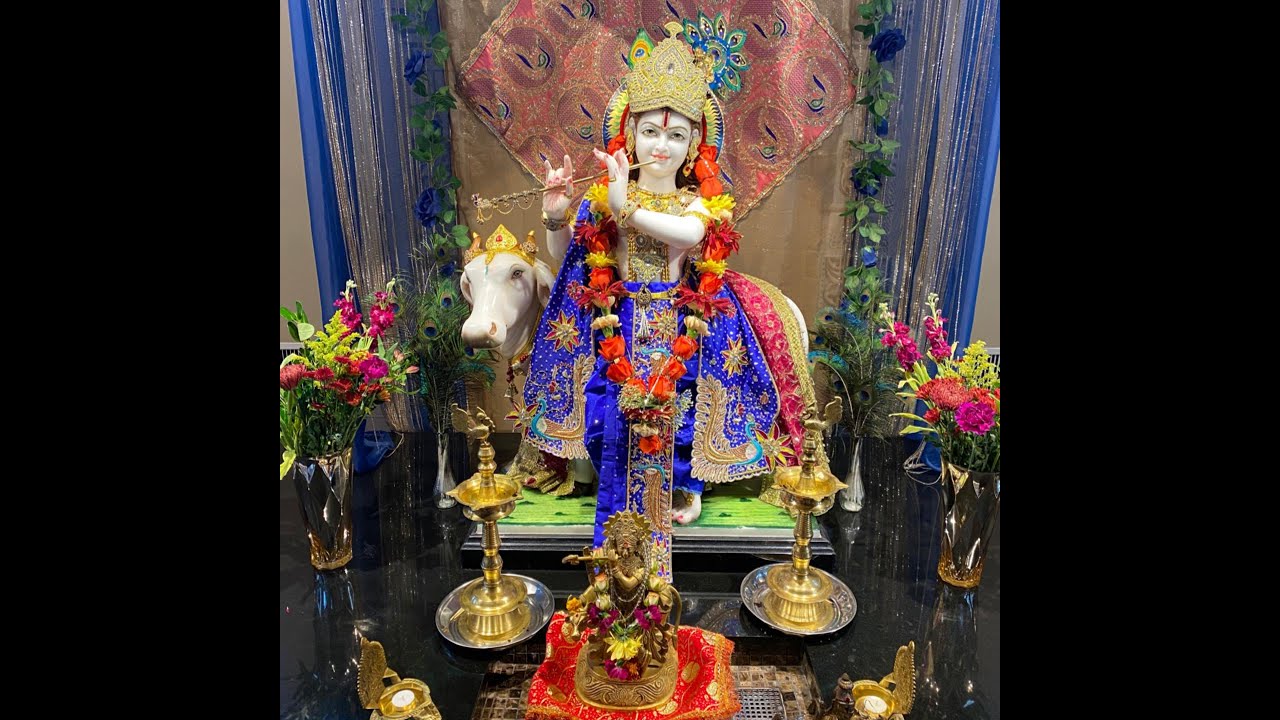 Chinmaya Madhuvan Livestream