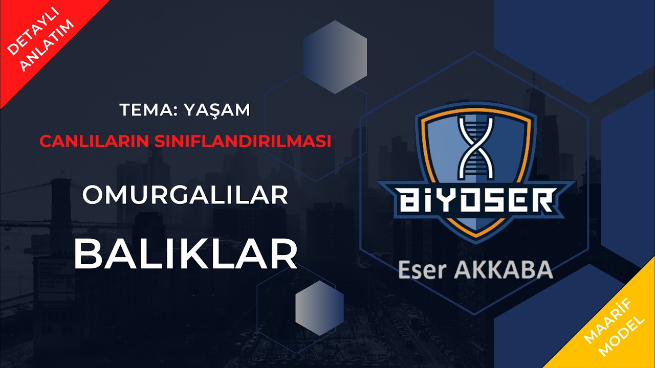 OMURGALI HAYVANLAR - BALIKLAR | 9. Sınıf ve TYT Biyoloji