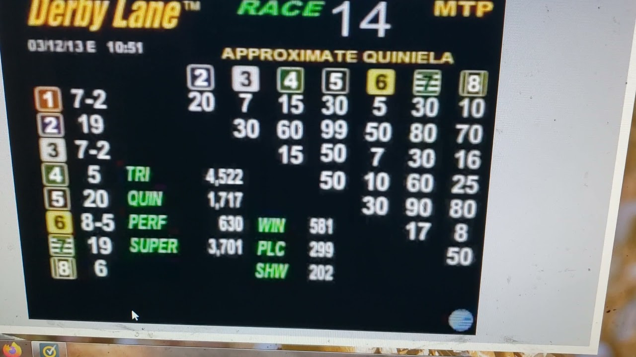 GREYHOUND RACING. DERBYLANE  KEEPER WEDGEWOOD