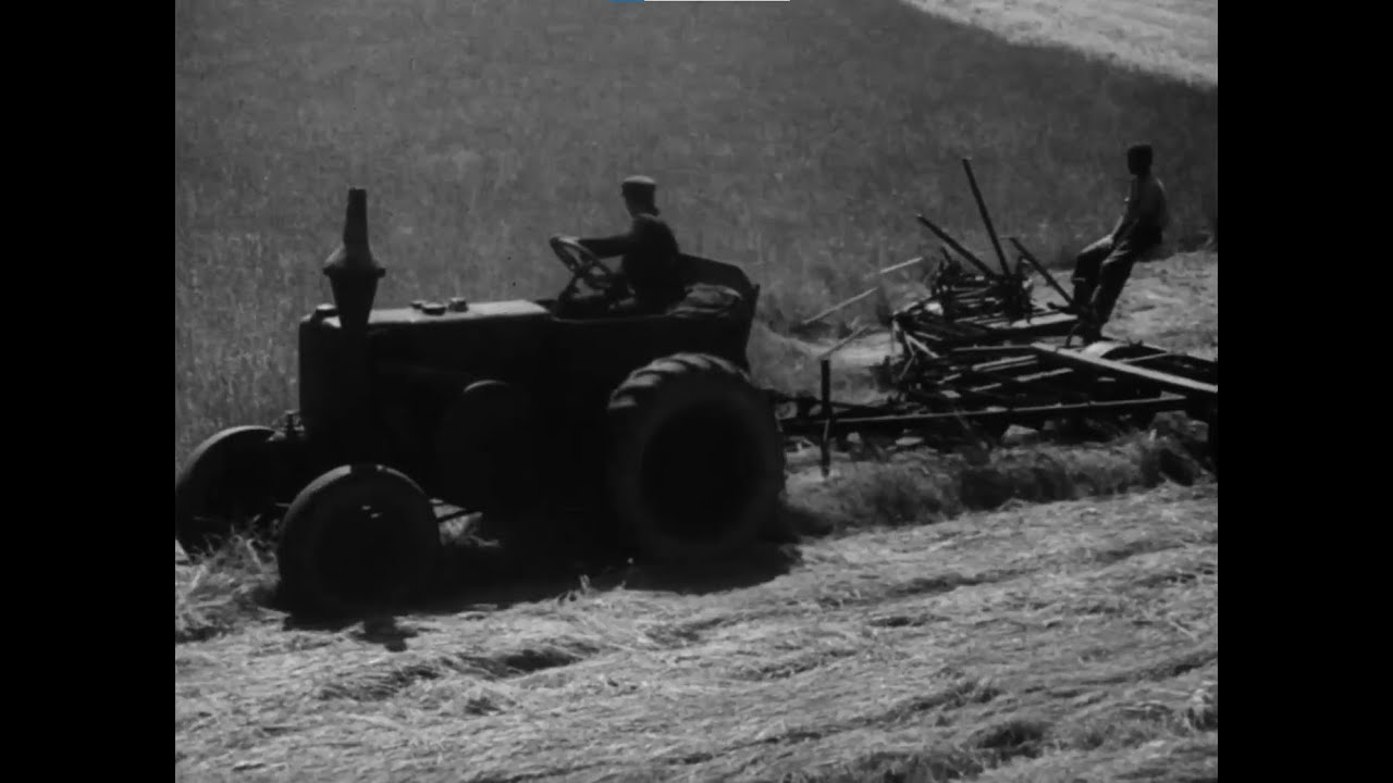Sianokosy w PGR Dąbroszyn - Radziecka kosiarka K-6 - 1954