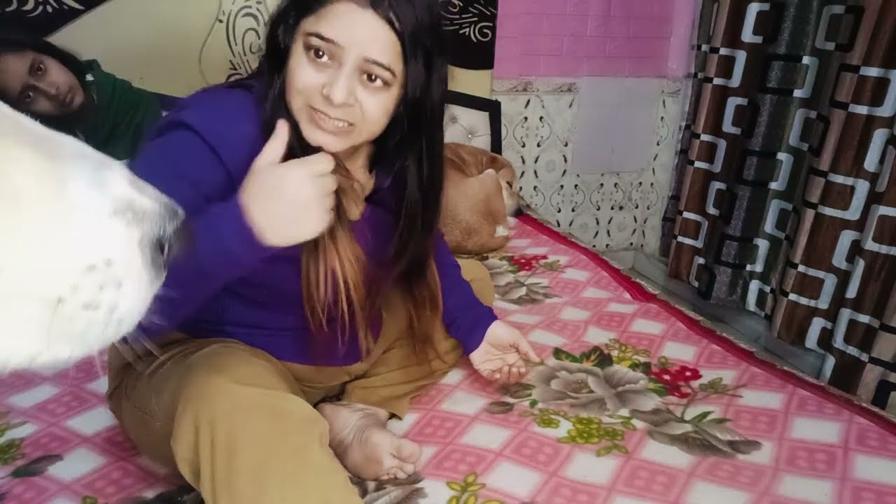 kaha gayab thi mai 👻itane dino se in bacho ko lekar 💃🏻🐕🐕 #housewifeblog