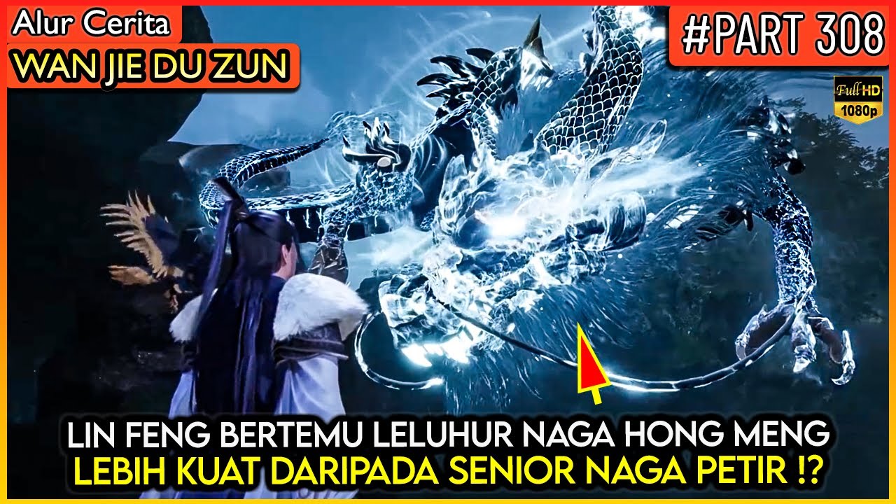 LORD LIN FENG DI WARISKAN KEKUATAN LELUHUR NAGA KUNO !? - Alur Cerita Donghua #WJDZ (PART 308)