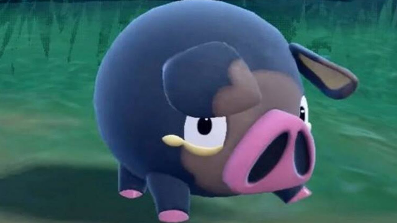 TEARLESS inizia la caccia a LECHONK SHINY