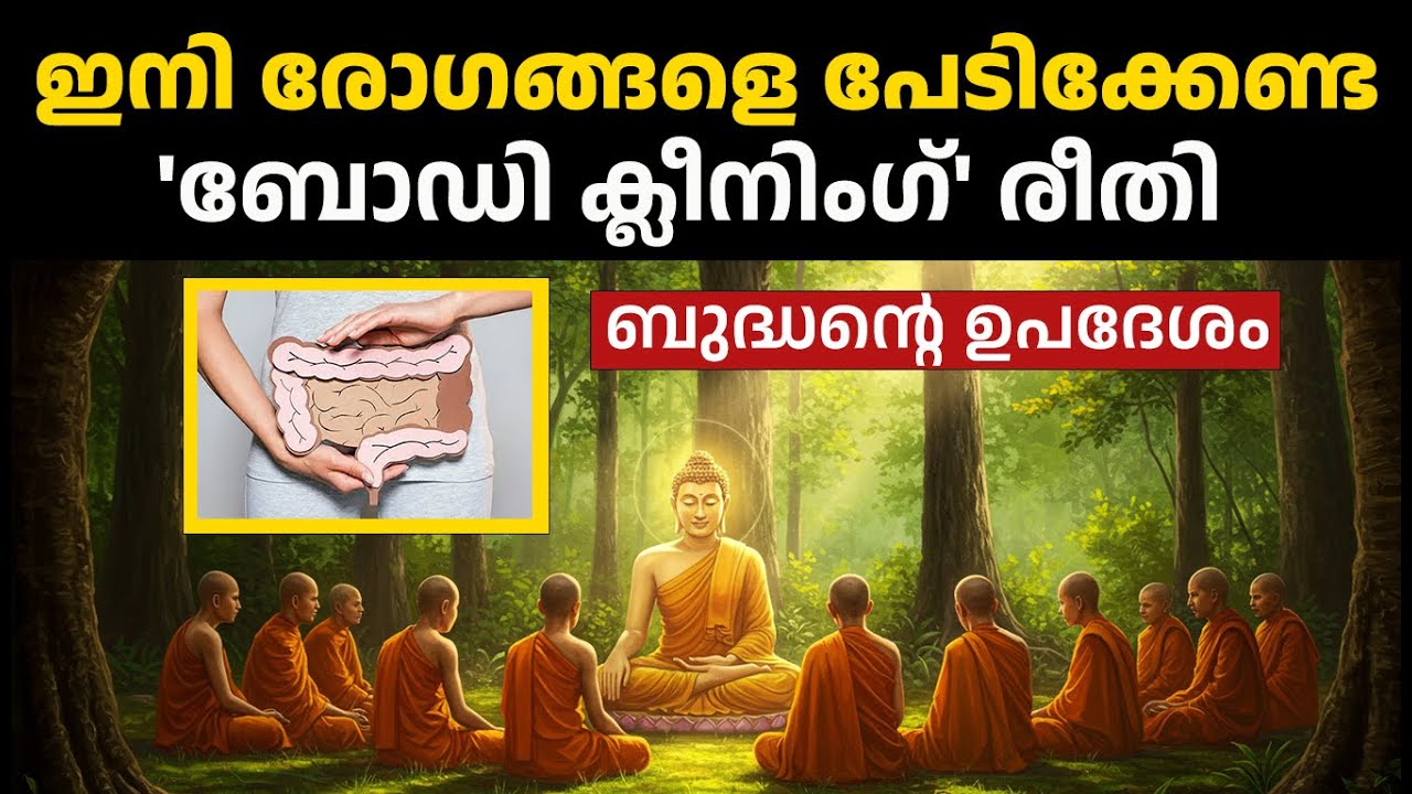 ഇനി രോഗങ്ങളെ പേടിക്കേണ്ട: Simple Ayurvedic Body Cleansing Methods - Buddha Story Motivation