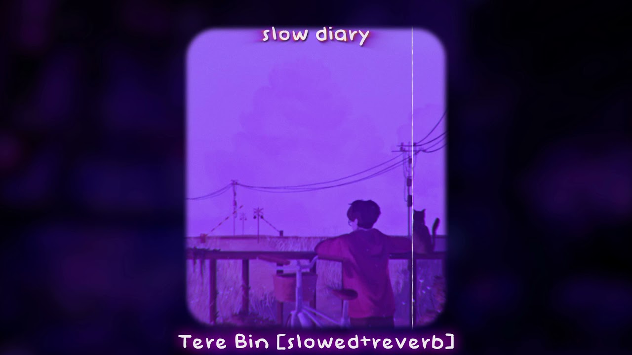 Tere Bin [slowed+reverb]🌊✨ - slow diary📙 | Dil Toh Bachha Hai Ji |