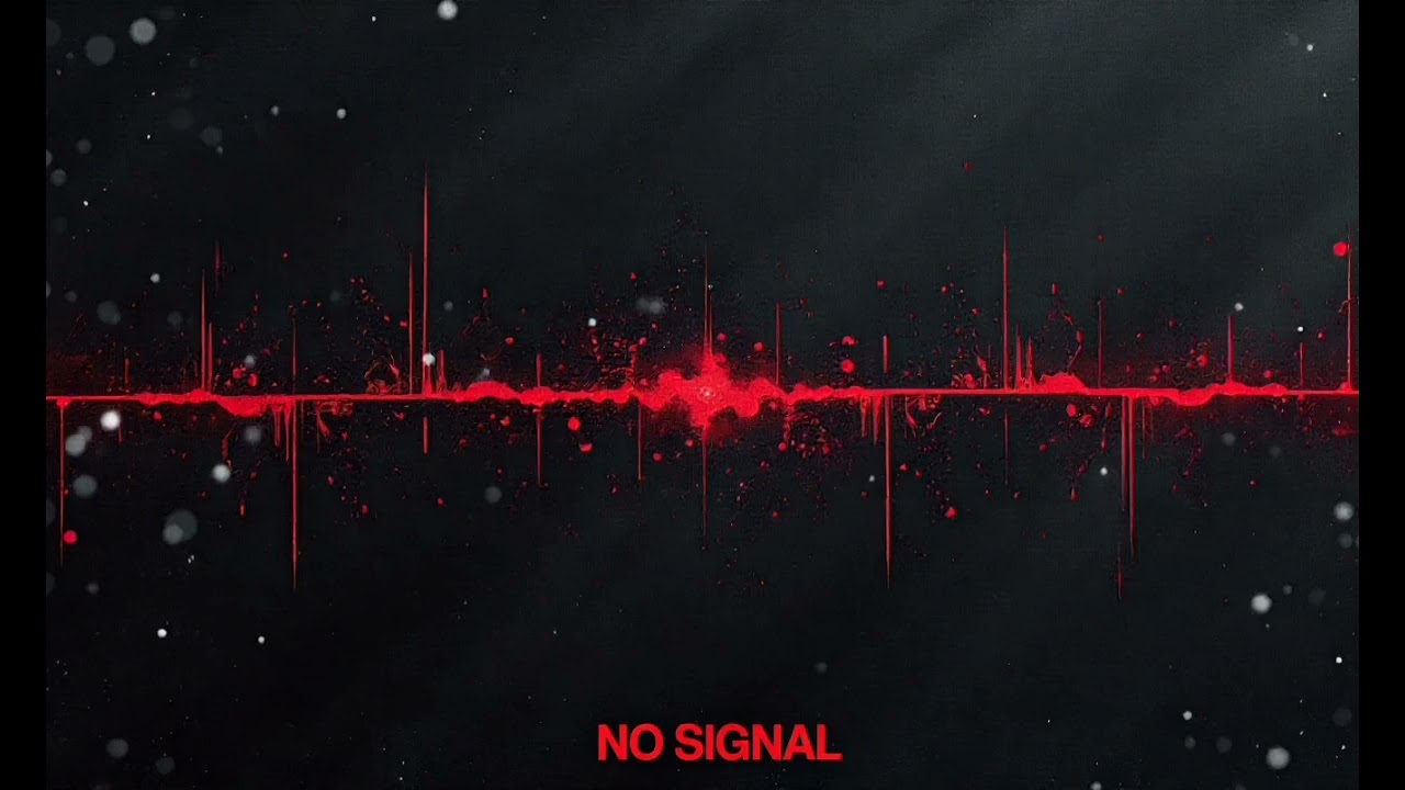 No Signal