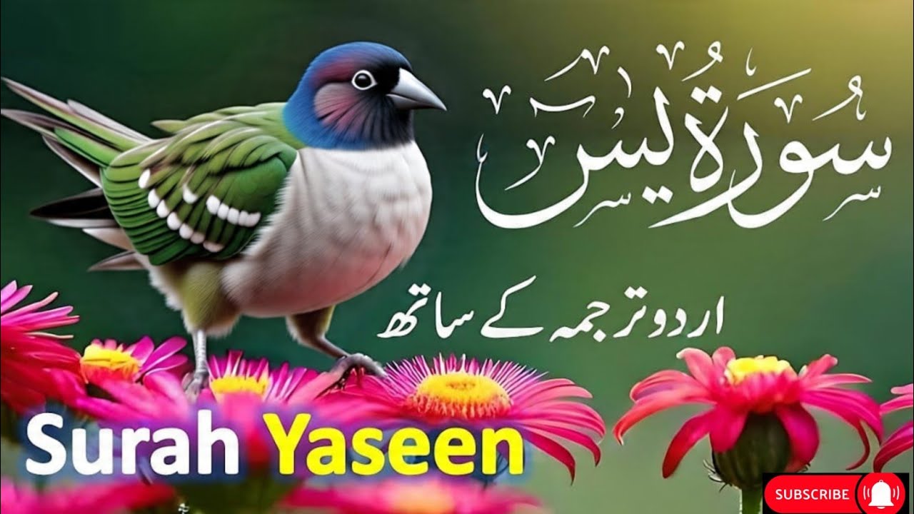 Surah Yaseen  | سورة يس 🕋 |  Beautiful Ouran For  Ramadan 2026 || Arabic Tilawat Learn | Ep 177