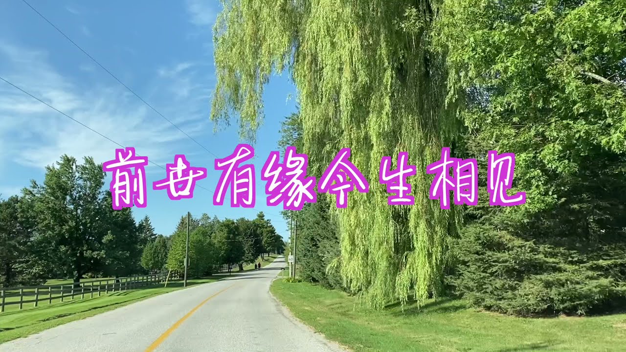 《前世有缘今生相见》爱你是心中最美的情缘（演唱：月下思故人/叶子纷飞）