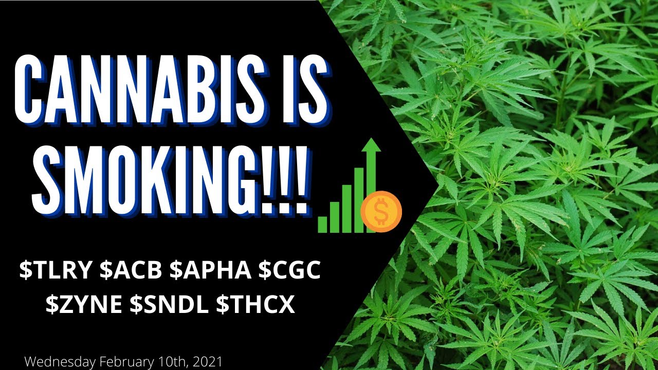 $$$CANNABIS STOCKS ARE SMOKING$$$ $TLRY $CGC $ACB $APHA $THCX $ZYNE $SNDL