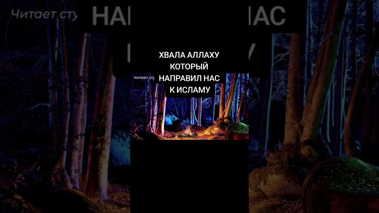 10 марта 2026 г.