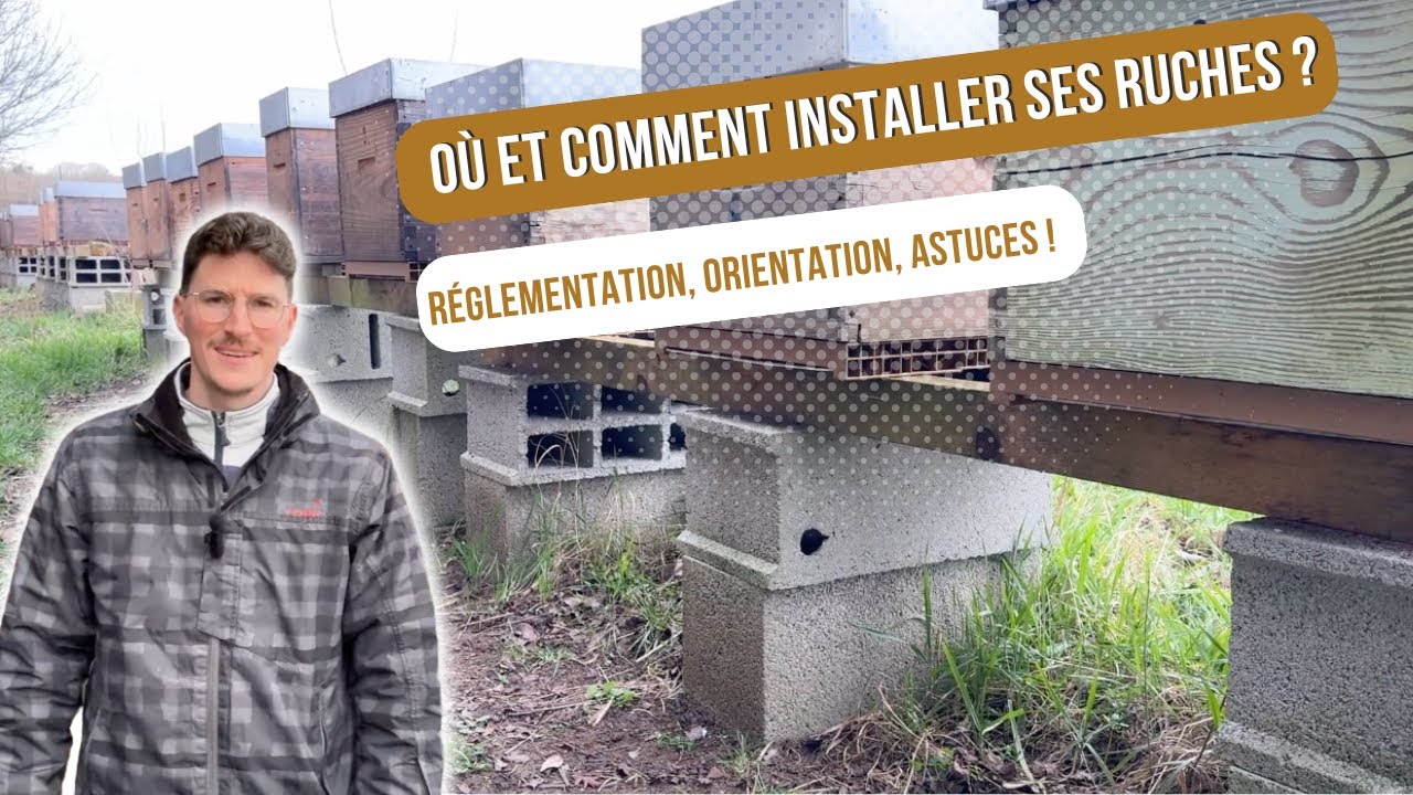 Où et comment installer ses ruches ? Tout ce qu’il faut savoir ! [S03E03]