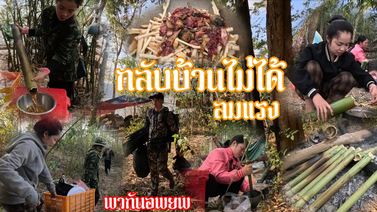 ກັບບ້ານບໍ່ໄດ້ລົມແຮງ//กลับบ้านไม่ได้ลมแรง สิ่งที่ควรทำคือ | 31 มกราคม ค.ศ. 2026