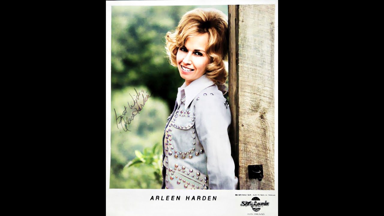 Arleen Harden - Misty Mountain Rain