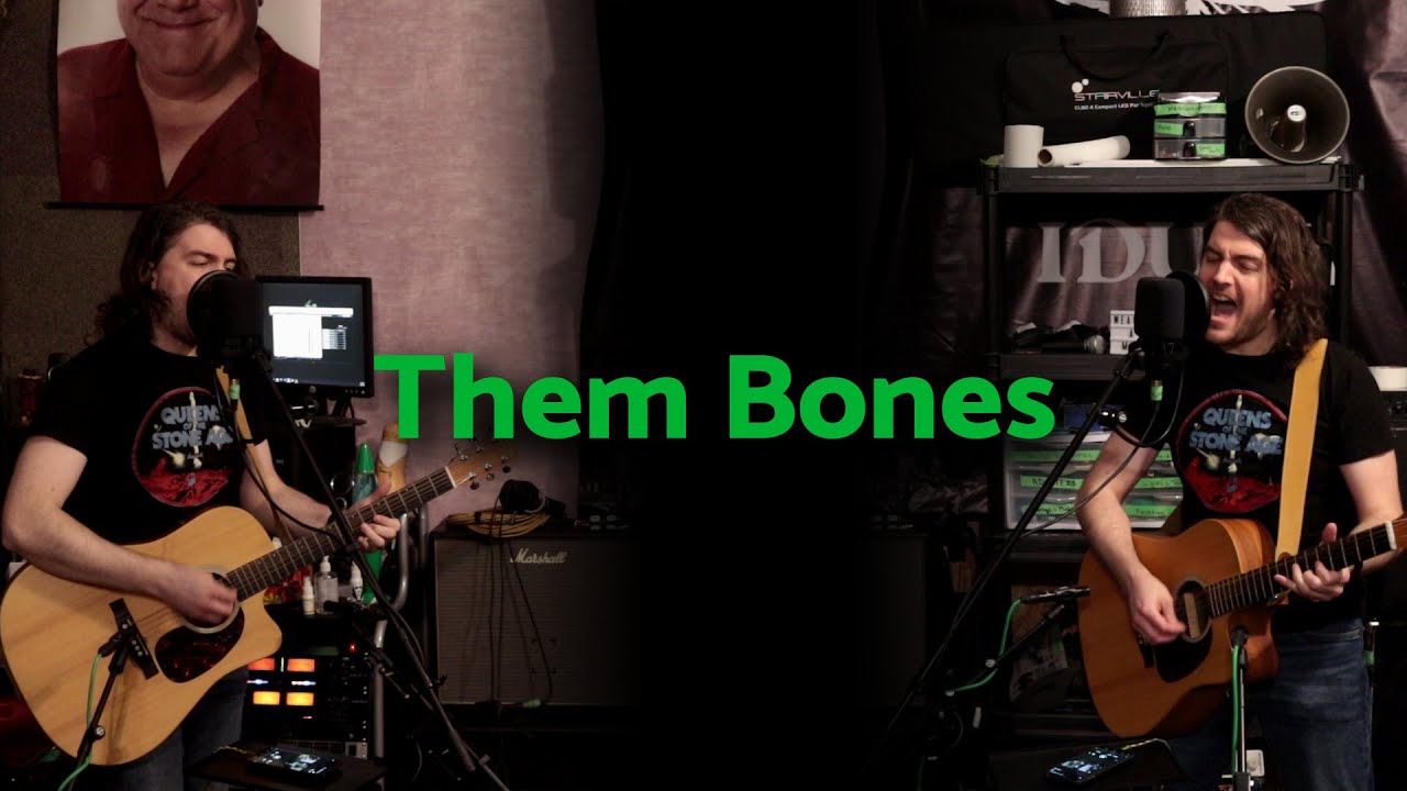 Them Bones - Acoustic Alice in Chains Cover