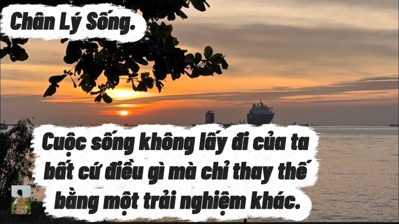 Cuộc sống không lấy đi của ta bất cứ điều gì..mà chỉ thay thế bằng một trải nghiệm khác#chânlýsống 