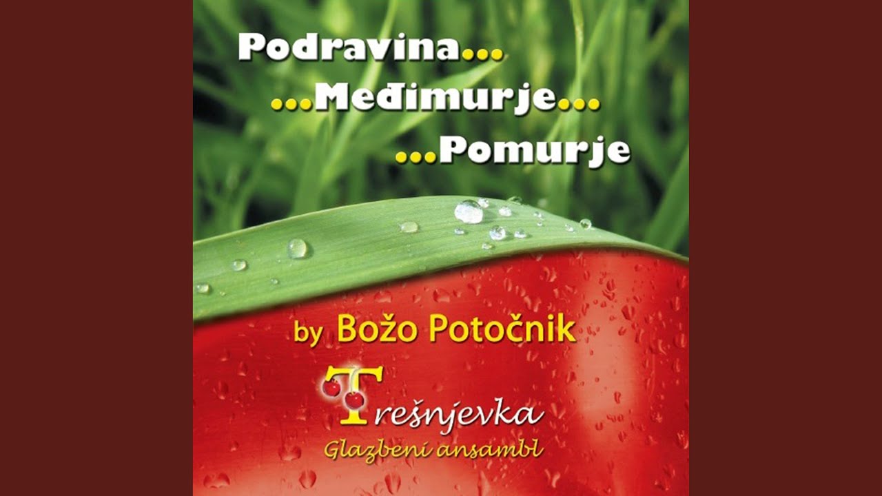 Dok Sam Bila Lepa Mlada