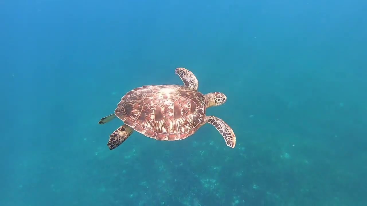 Caraibi in barca a vela – Dalla Guadalupa ad Antigua