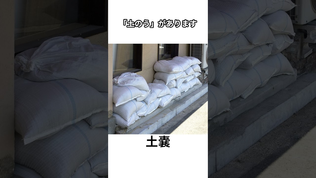 【中１理科】花粉のうののうって何？ #shorts #理科 #中学生 #中学 #中1 #植物 #花粉