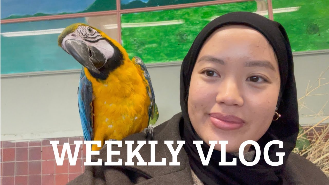 weekly vlog #1 : restaus, famille, amis, et blabla toujours!