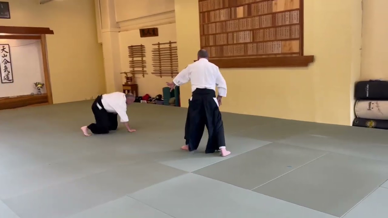 Bruce Bookman Kaicho and Yahe Solomon Sensei practice tsuki defenses