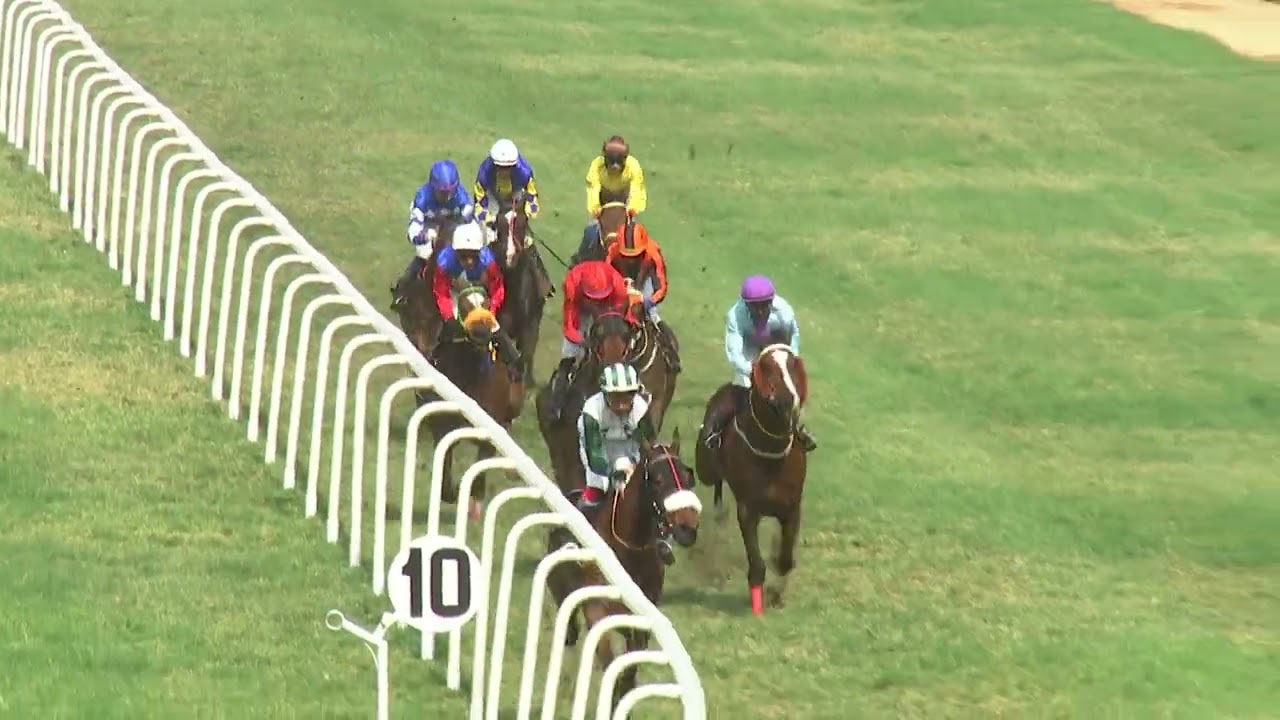 RACE NO 3 THE KADAMBI FALLS PLATE (163)