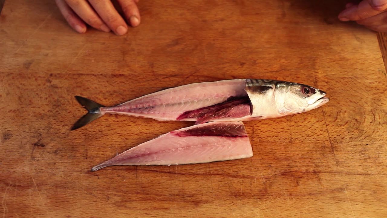 Bass Fishing Baits - How To Fish Mackerel