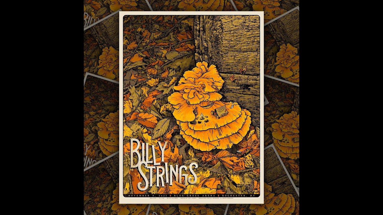 Billy Strings - Rochester, NY - 11/9/22 (Blue Cross Arena)